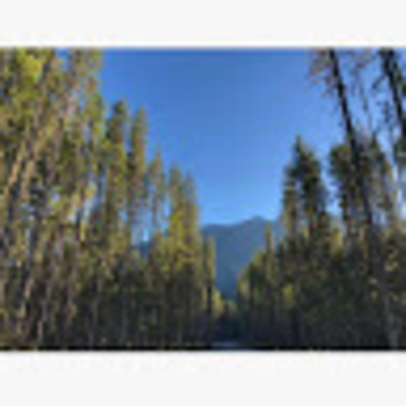 Meet your Posher, Sienna - Picture 1 of 1